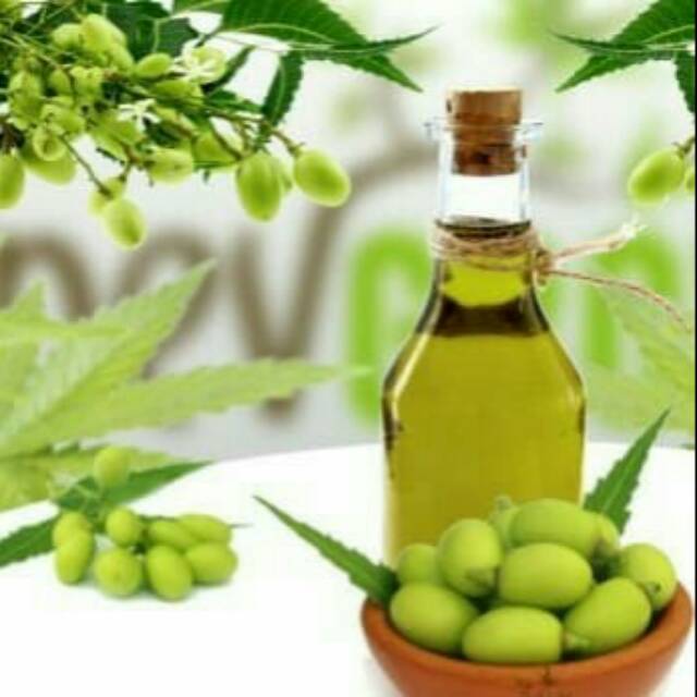 Minyak Mimba / Neem Oil