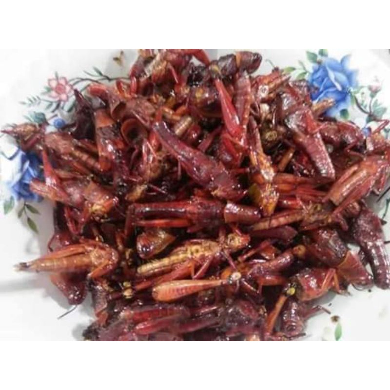 

Belalang goreng isi 50gram(walang kayu)