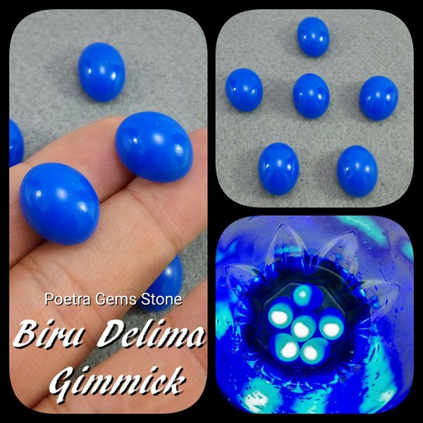 MERAH DELIMA ( BIRU ) GIMMICK