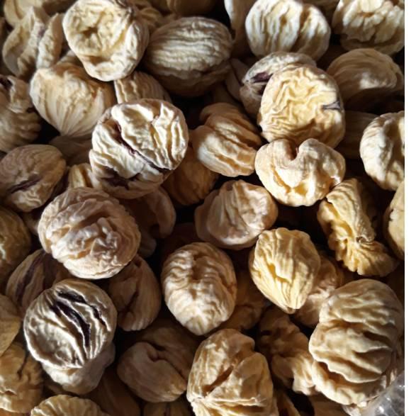 

Terbaru - 100 gramKacang beragan kering / lak ci / chestnut bakcang