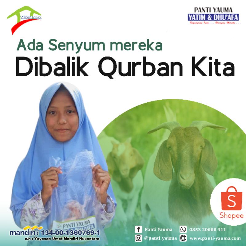 

Qurban Kambing / Domba Jantan Sesuai Standar Layak Kurban