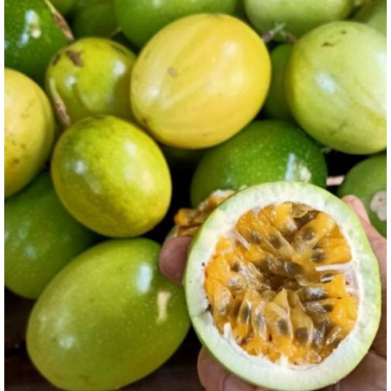 

Markisa kuning segar..