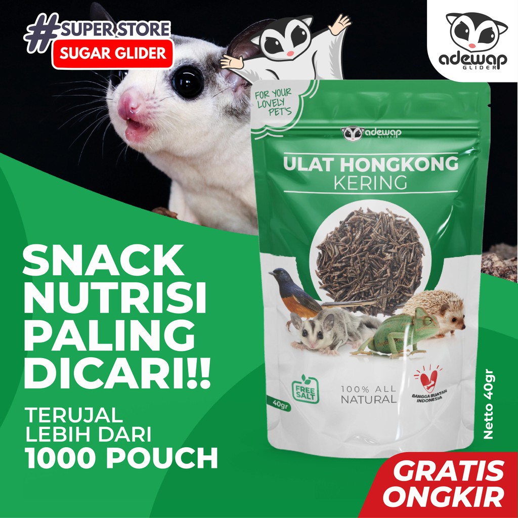 ADEWAP GLIDER Ulat Hongkong Kering 40gr Dried mealworm Sugar Glider