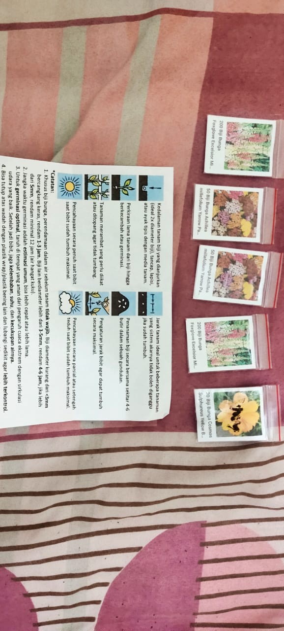 200 Biji Bunga Foxglove Excelsior Mix Digitalis Purpurea Flower Benih