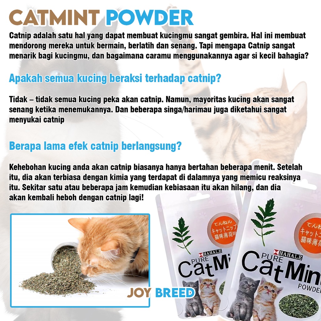 CATNIP KUCING CATNIP BUBUK CATMINT MENTOL PENGHILANG STRESS KUCING