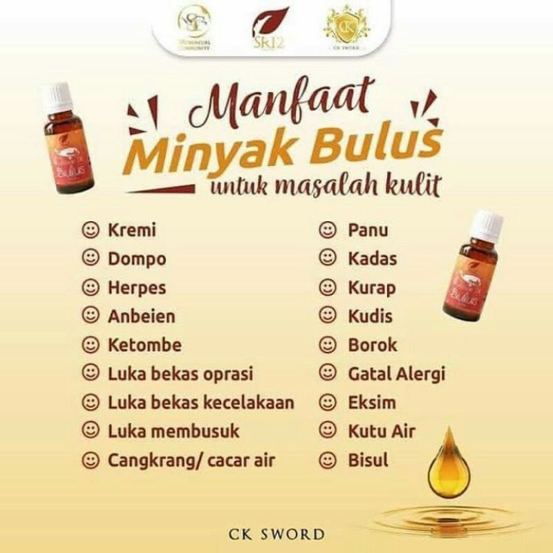 Minyak Bulus Original Minyak Pengencang Payudara - Minyak Pembesar Mr. P
