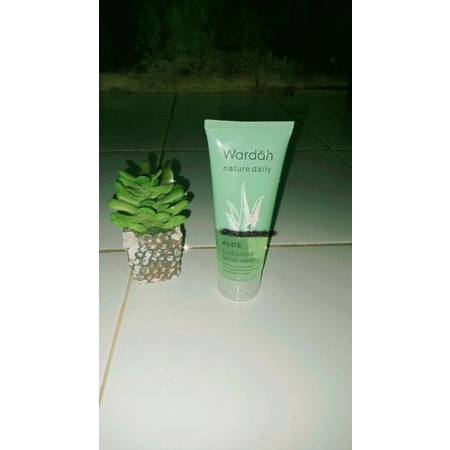 Facial wash Wardah