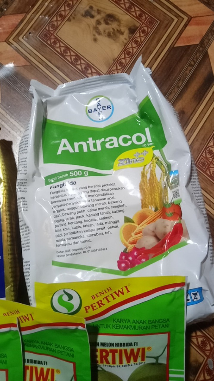 Fungisida Kontak Antracol 70 Wp - 500 Gram