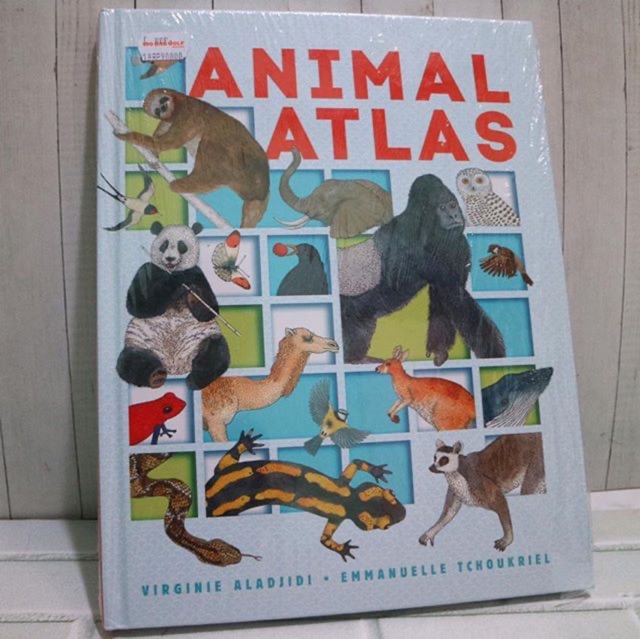 Animal atlas