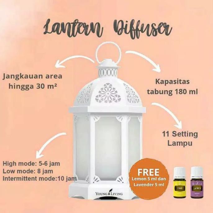 Lantern Diffuser Young Living Oil Windaniati879