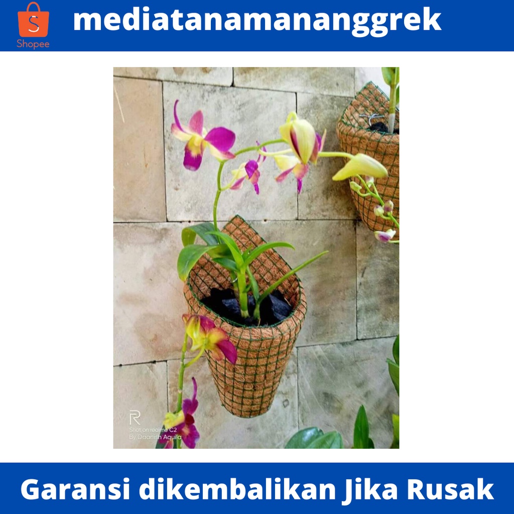 pot anggrek kerucut / Pot Tempel / pot anggrek bulan / dendrobium / pot sabut kelapa