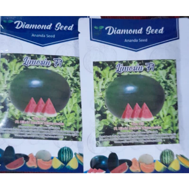 benih semangka Limosin F1 non biji murah dan terjangkau