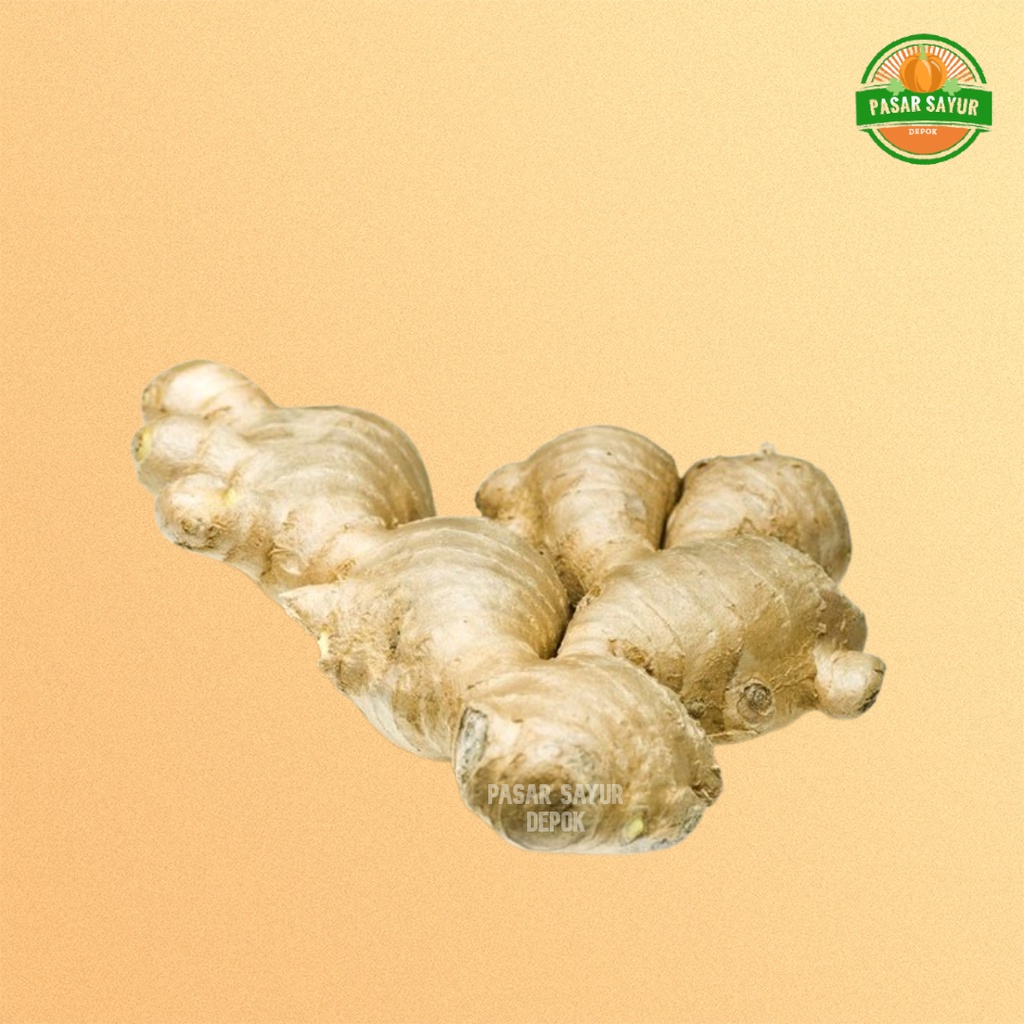 

Jahe gajah segar dan bersih / jahe putih 250 gram