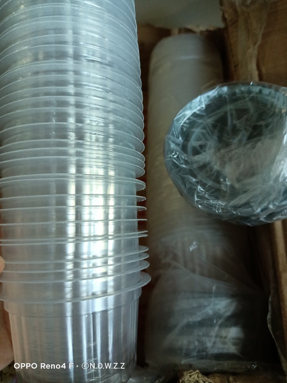 Dapurmami Cup Gelas Tempat Pudding Agar Puding Jelly + Tutup 120 Ml 100 Ml 65 Ml