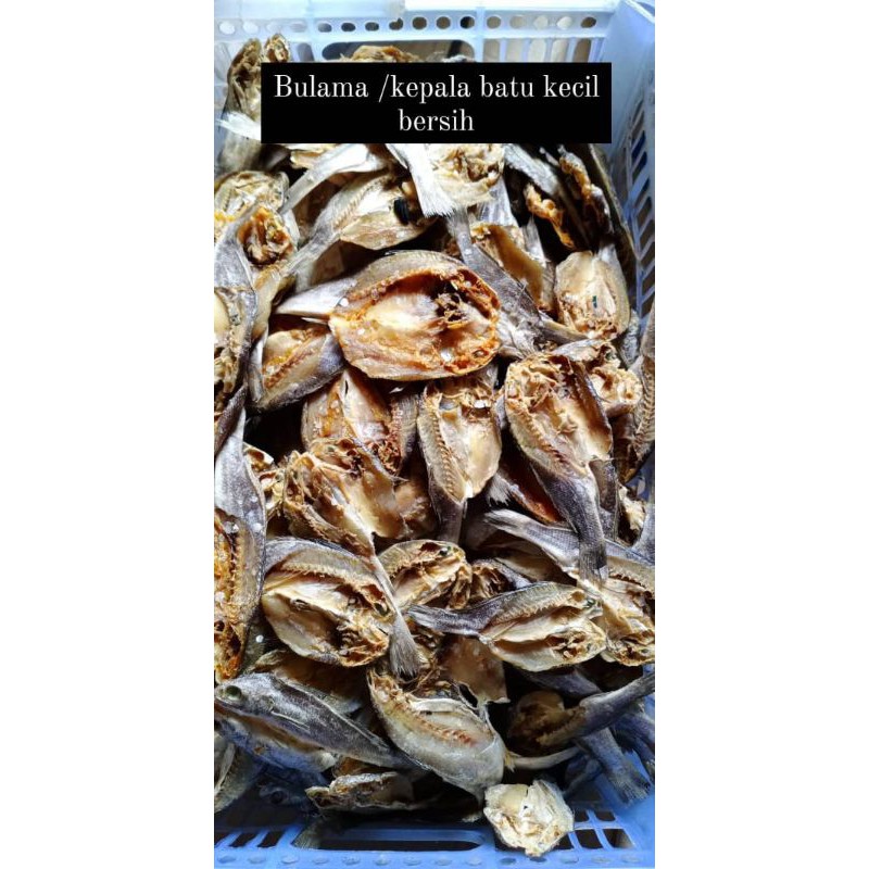 

bulama/kepala batu 1 kg