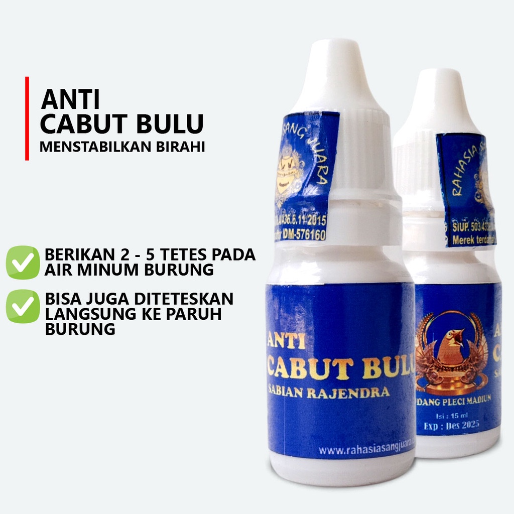 ANTI CABUT BULU BURUNG | OBAT PENURUN BIRAHI BURUNG MENGATASI CABUT BULU LOVEBIRD MURAI BATU PLECI CUCAK IJO