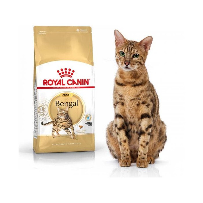 ROYAL CANIN BENGAL 400GR / MAKANAN KUCING RAS BENGAL 400GR