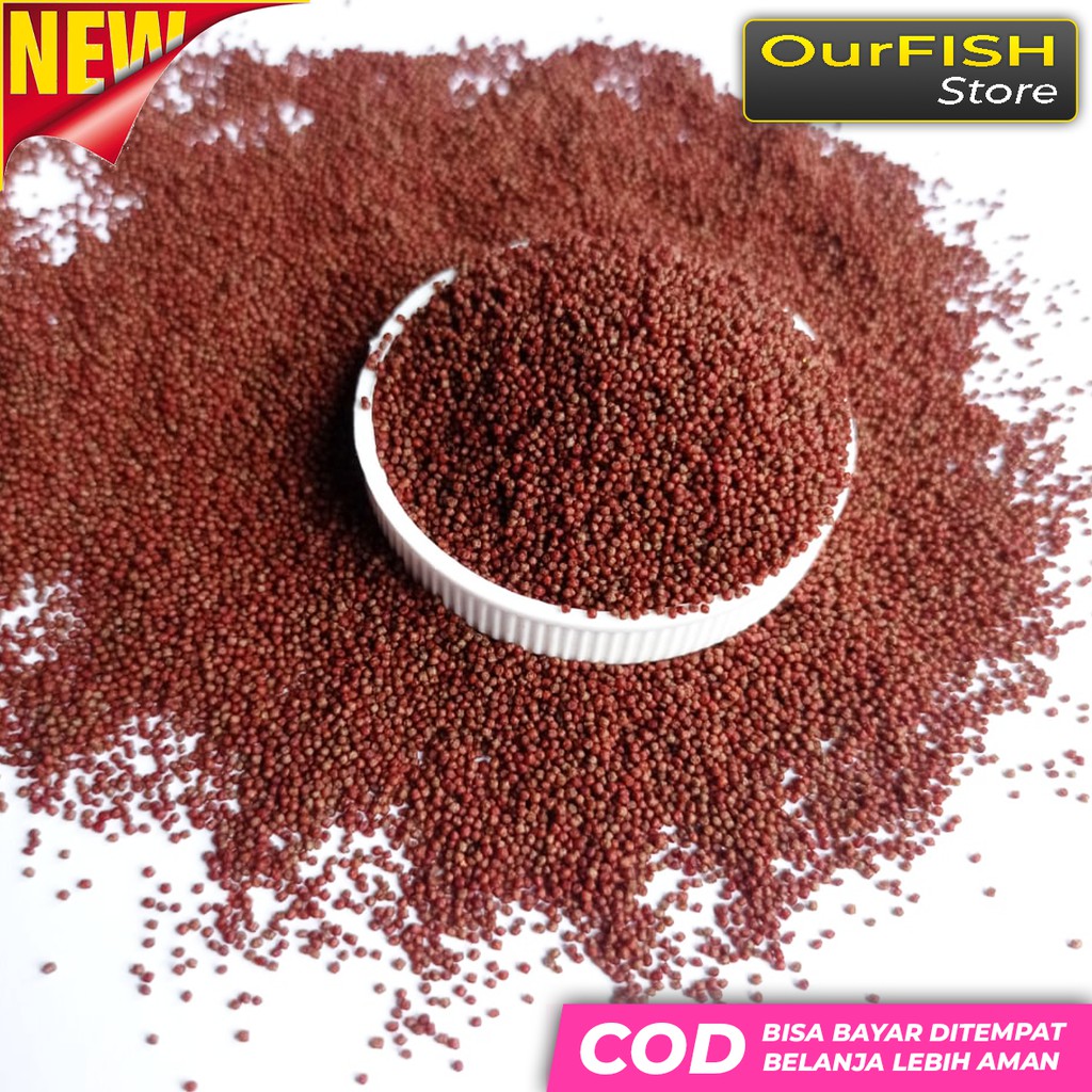 OURFISH - Colorplus Pelet Pakan Ikan Cupang Blue Rim Avatar Halfmoon Galaxy Giant Nemo Koi Guppy