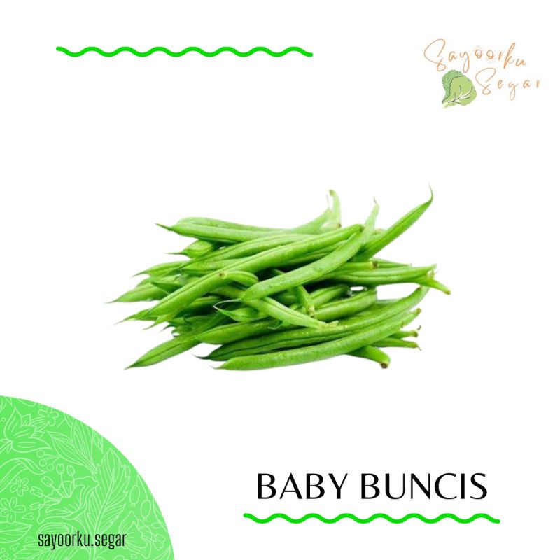 

KIRIM BESOK Baby buncis / buncis kecil / buncis manis