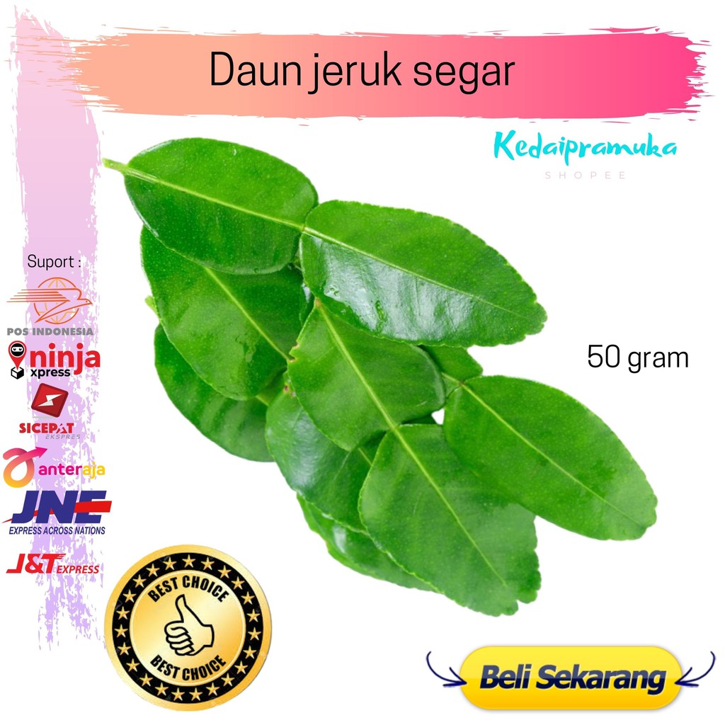 

Promo Daun jeruk aromatherapy obat mual aromaterapi termurah 50 gram