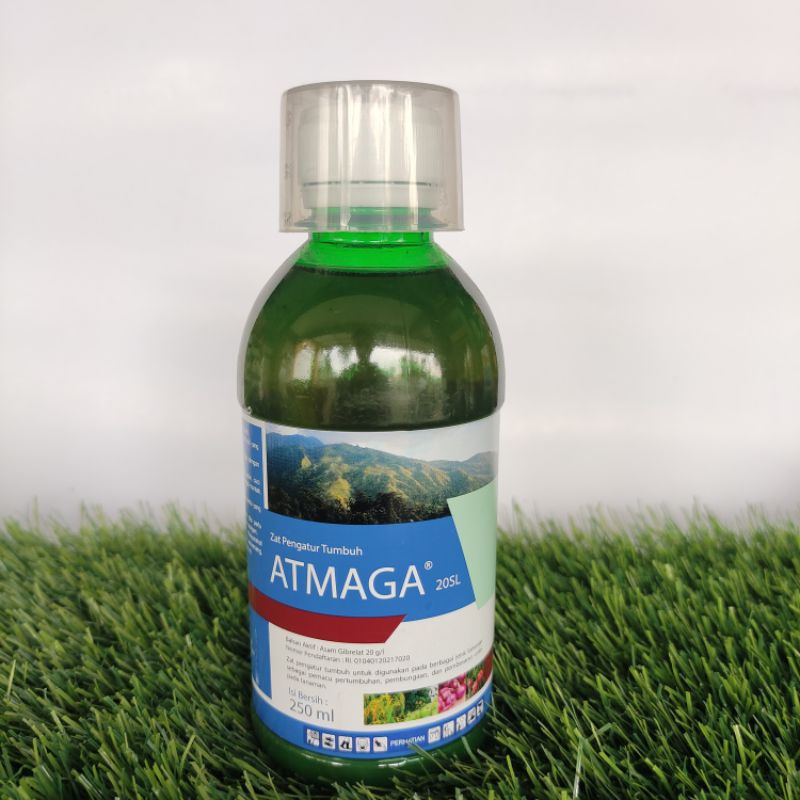 Zat Pengatur Tumbuh Atmaga Murni Asam Gibrelat 20 SL 250ml