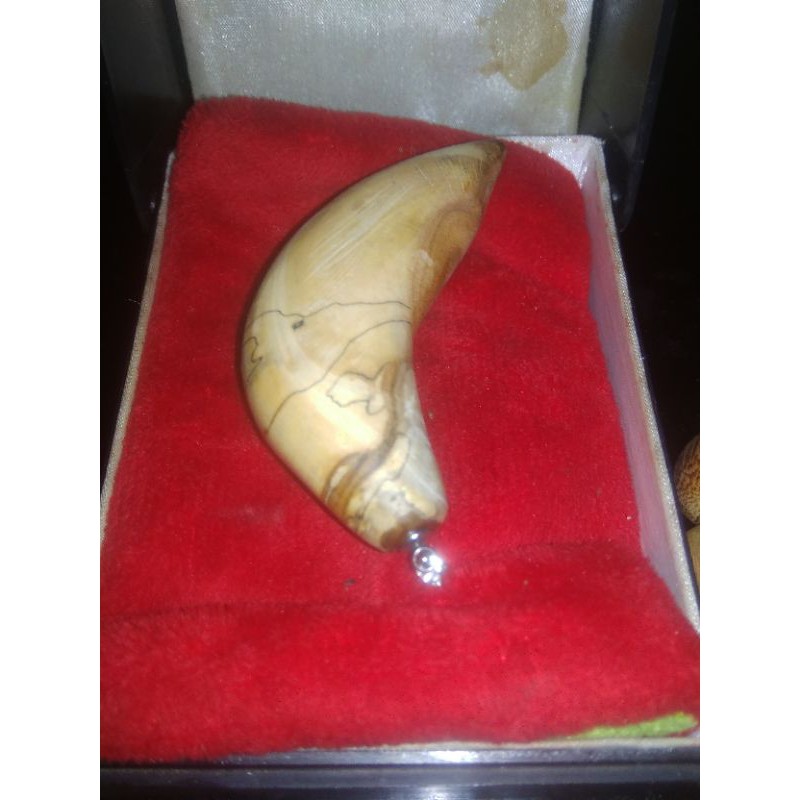 liontin /bandul/kalung/kayu cendana jawa ngurak