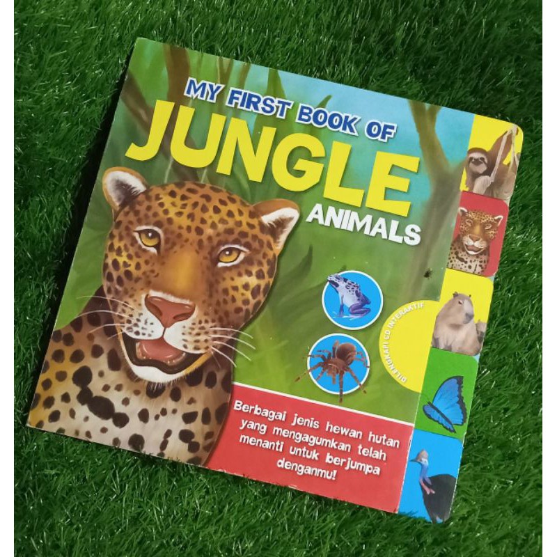 my first book of jungle animals
