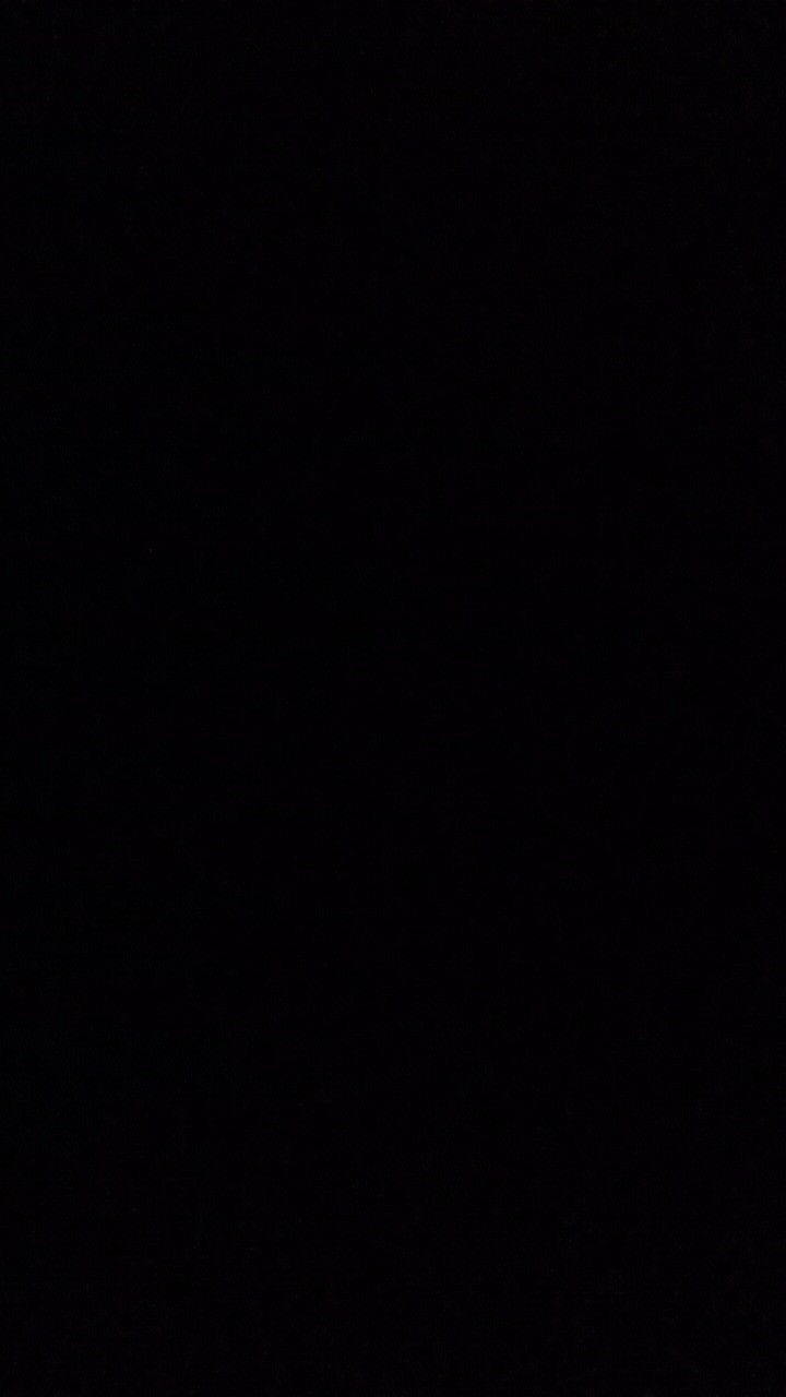 Kokot Udang Silfer 3ukuran(12pcs)