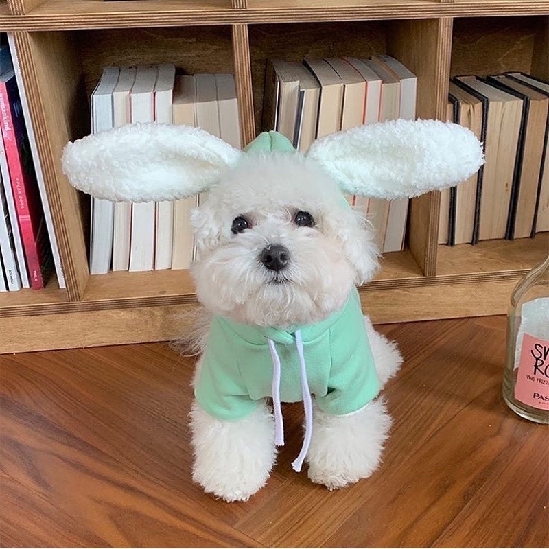 Bunny ear korea hoodie top