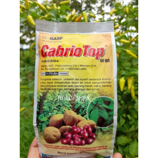 Fungisida CabrioTop 60WG Cabrio Top Fungisida Sistemik Kemasan 250gr