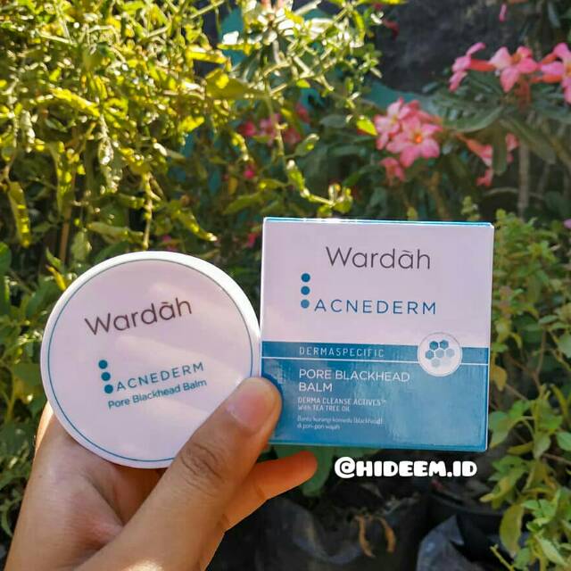 WARDAH ACNEDERM PORE BLACKHED BALM