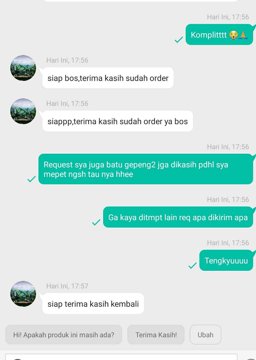 Carpet Seed Hair Grass Mini 3ml