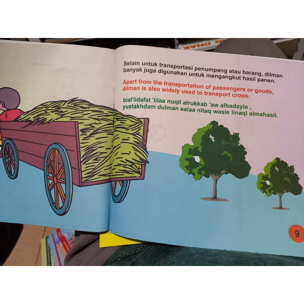 Buku Cerita Anak Bergambar Transportasi 3 Bahasa Indonesia - Inggris - Indonesia Full Color