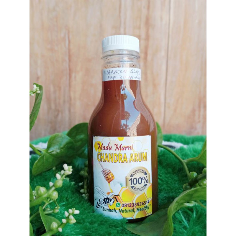 

Madu Klanceng Hutan Murni Alami 250ml plus Beepolen Propolis