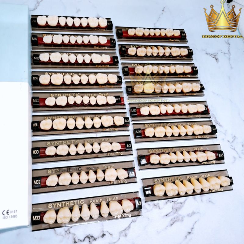 Synthetic Gigi Palsu Geraham Atas