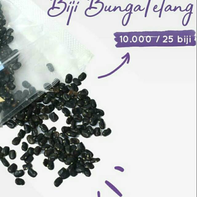 biji bunga telang