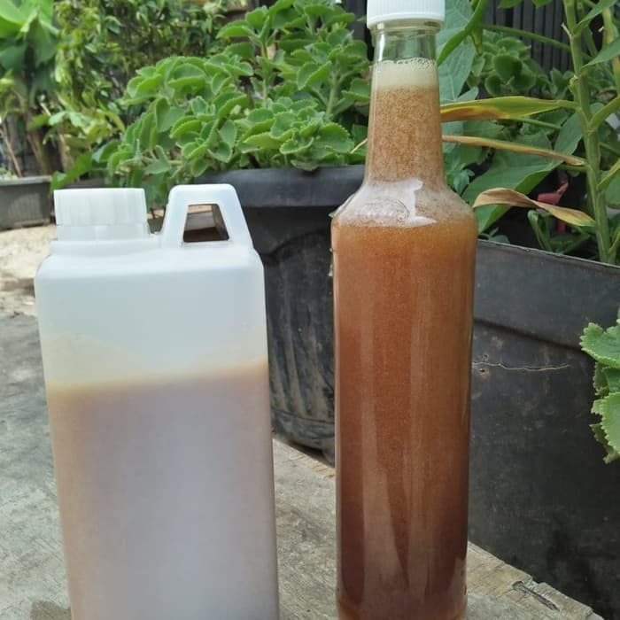 

Madu Hutan Sialang Sumatera Murni (Teruji Lab) 1kg