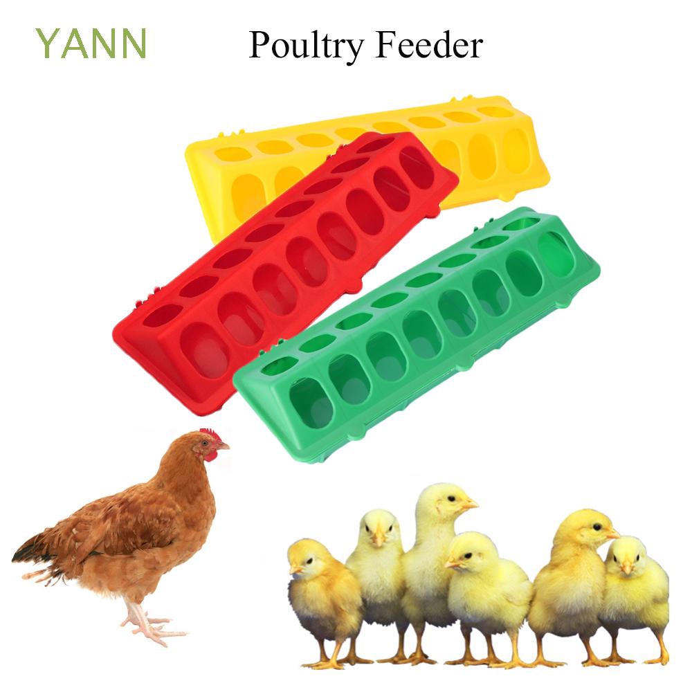 Feeder Ayam Burung Hewan Unggas Model Flip Top Shopee Indonesia