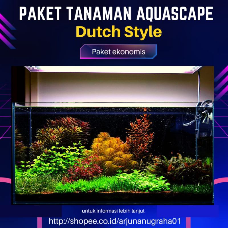 Paket Dutch Style Paket Tanaman Aquascape ( Paket Tanaman Air Akuarium Aquascape || Paket Tanaman Ta