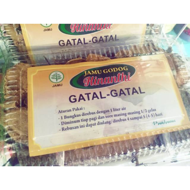 

Jamu godhog Tradisional untuk berbagai macam penyakit, cara penyajian cukup direbus dengan air .