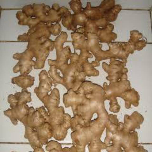 

Jahe emprit lokal asli.