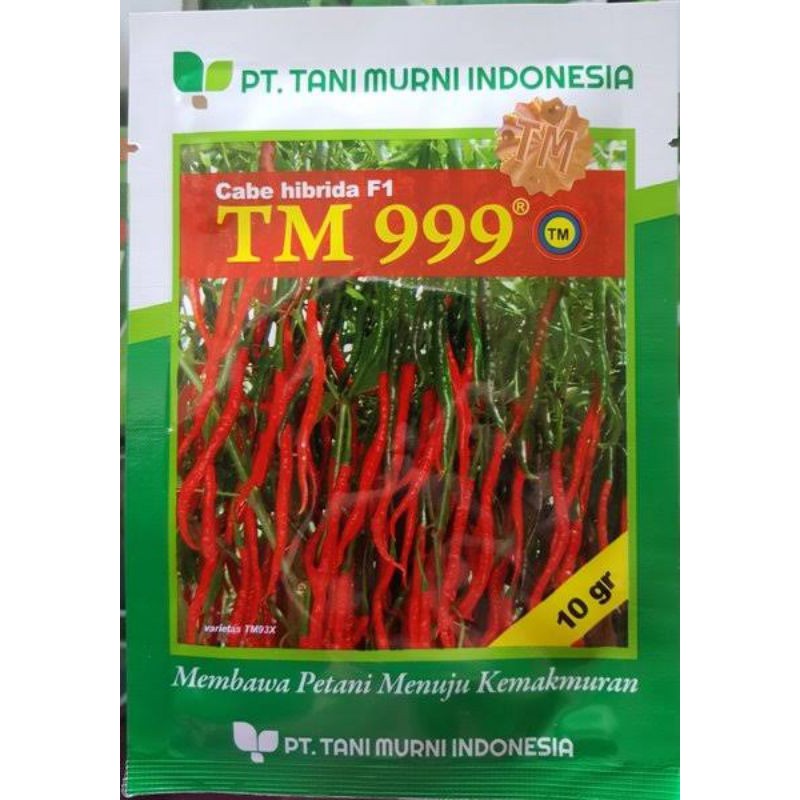 benih cabai tm 999