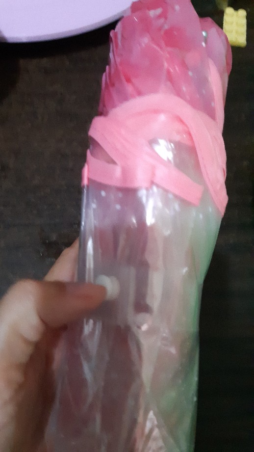 Payung Jepang Lipat Motif Transparan Cherry Blossom - E023 Titangadget