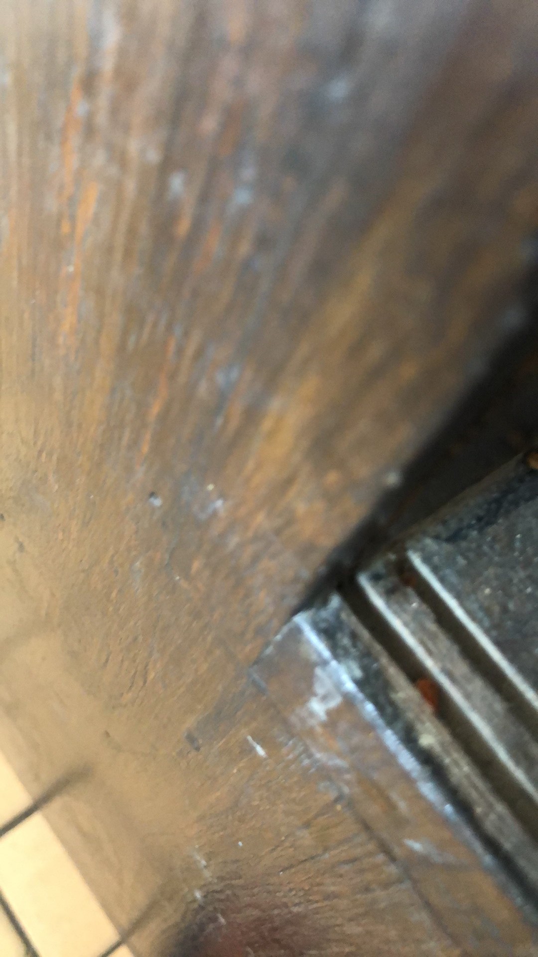 Kasur Lipat Busa Inoac Asli  Eon Lg D 23 Light Green Uk 200x160 Cm Tebal 5 Cm Sd 20 Cm