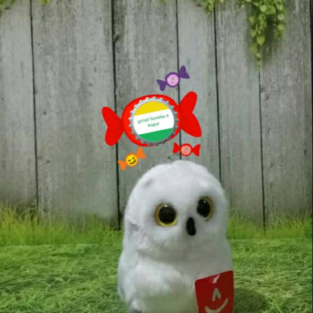 Boneka Burung Harga Imut Shopee Indonesia