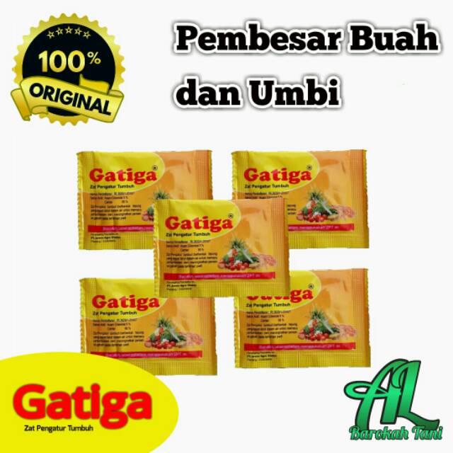 ZPT Pembesar Buah Dan Umbi Gatiga ZPT Kemasan Sacet 2 gr Bahan Aktif Giberelin