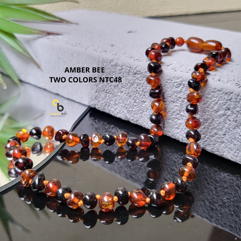 Kalung Amber Bayi dan Anak Premium Glossy Cherry Cognac NGCC48 By Amber Bee