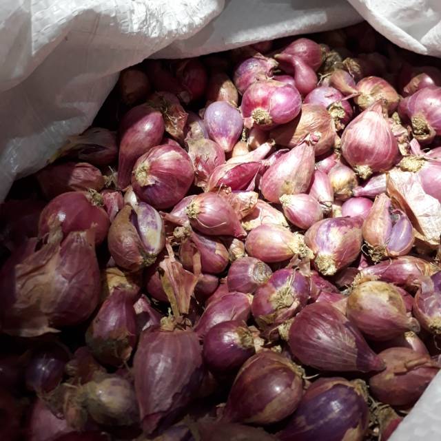 

Bawang merah brebes asli