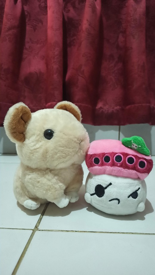 Pesanan Kak Chisha_souvenir