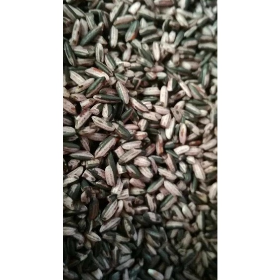 

Diskon Beras Ketan Hitam Sosoh per 1 Kg Cuci Gudang Awal Tahun